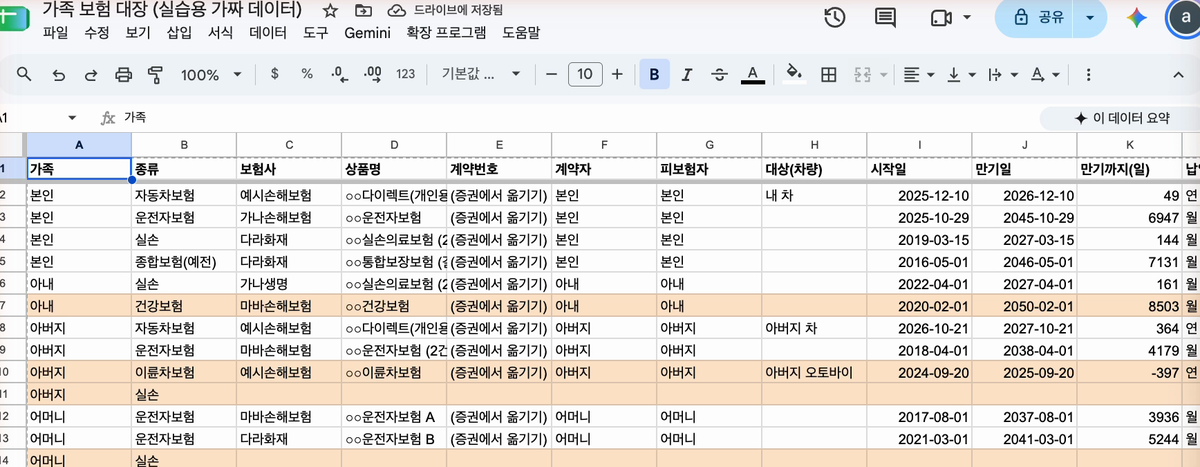 가족 보험 대장 (실습용 가짜 데이터)